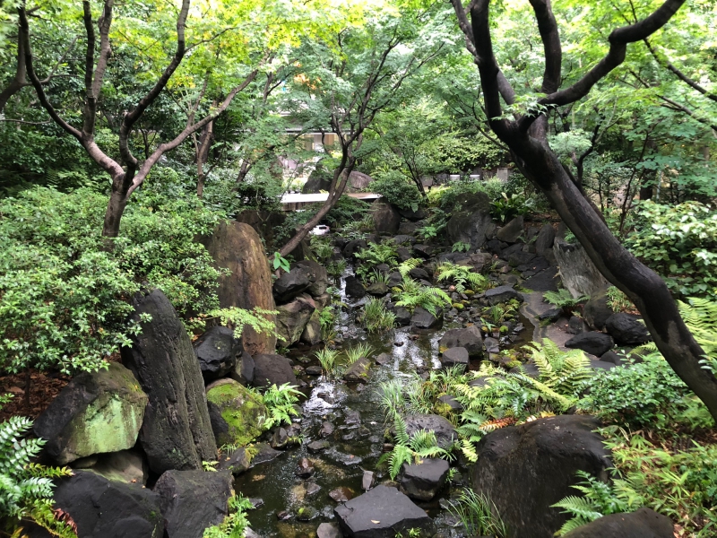 梅田の緑 20180723