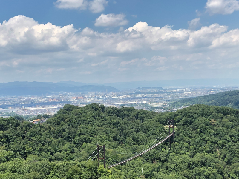 2020.8.29 ほしだ園地